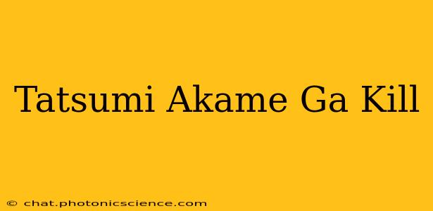 Tatsumi Akame Ga Kill