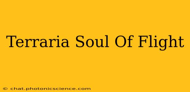 Terraria Soul Of Flight