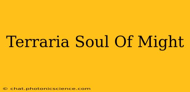 Terraria Soul Of Might