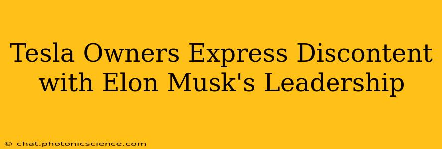 Tesla Owners Express Discontent with Elon Musk's Leadership