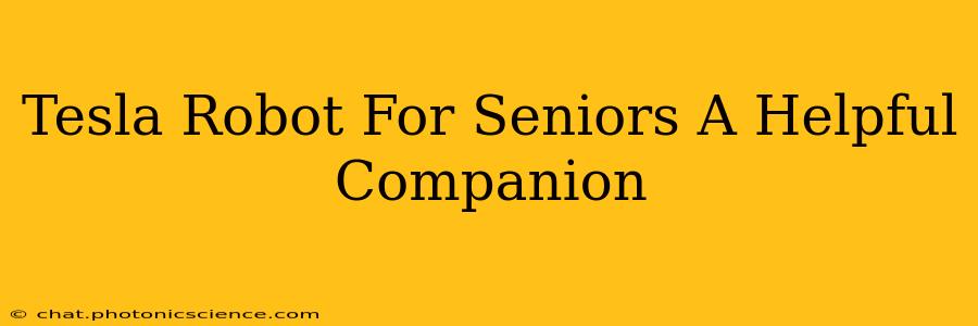 Tesla Robot For Seniors A Helpful Companion