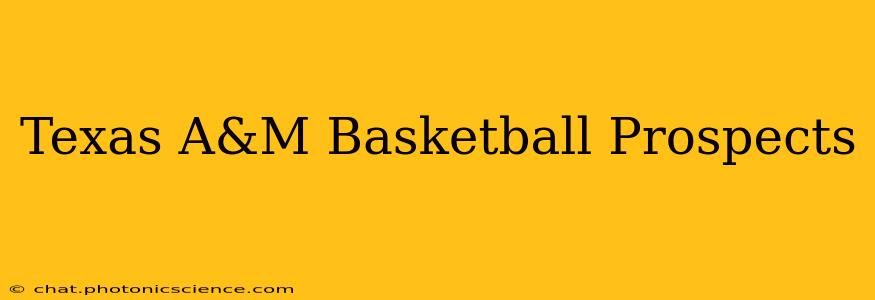 Texas A&M Basketball Prospects