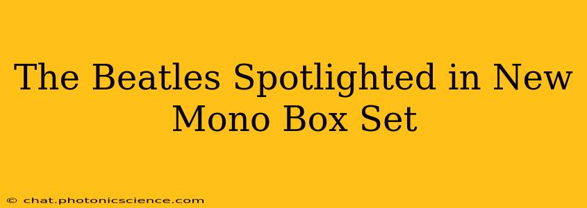 The Beatles Spotlighted in New Mono Box Set