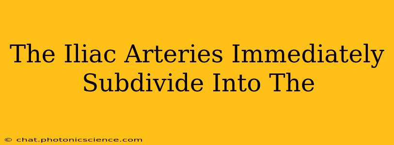 The Iliac Arteries Immediately Subdivide Into The