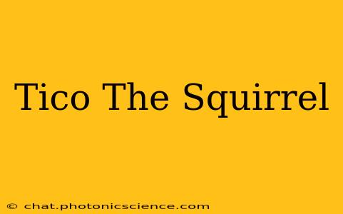 Tico The Squirrel
