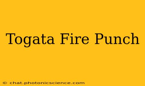 Togata Fire Punch