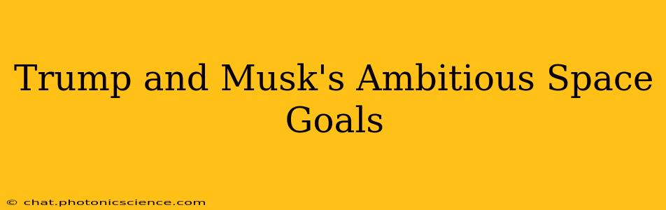 Trump and Musk's Ambitious Space Goals