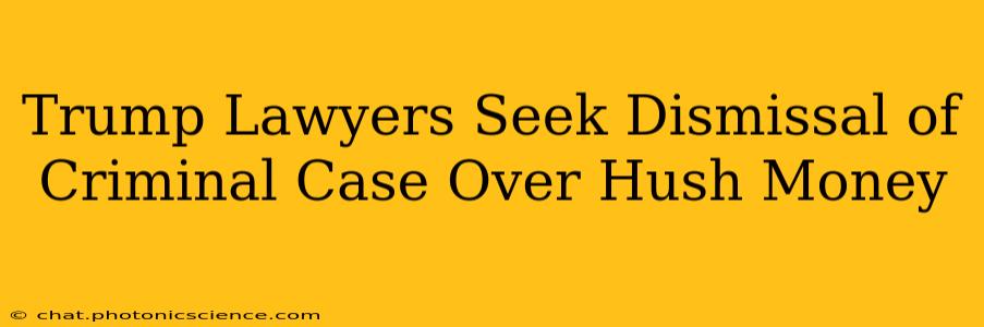 Trump Lawyers Seek Dismissal of Criminal Case Over Hush Money