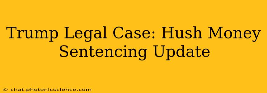 Trump Legal Case: Hush Money Sentencing Update