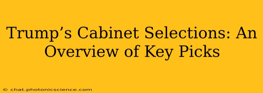 Trump’s Cabinet Selections: An Overview of Key Picks