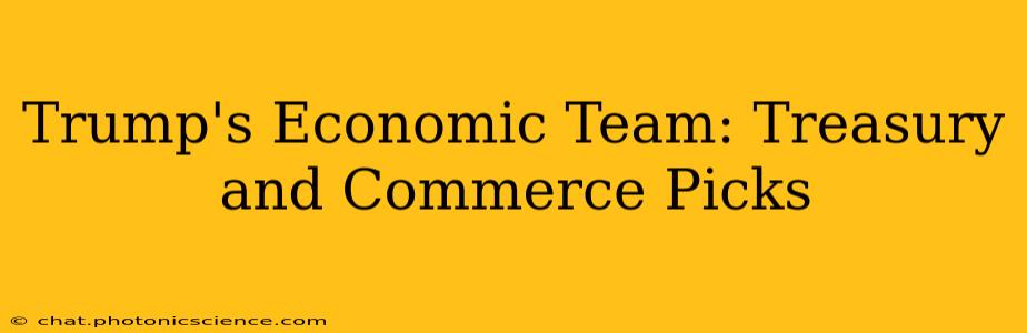 Trump's Economic Team: Treasury and Commerce Picks