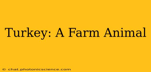 Turkey: A Farm Animal