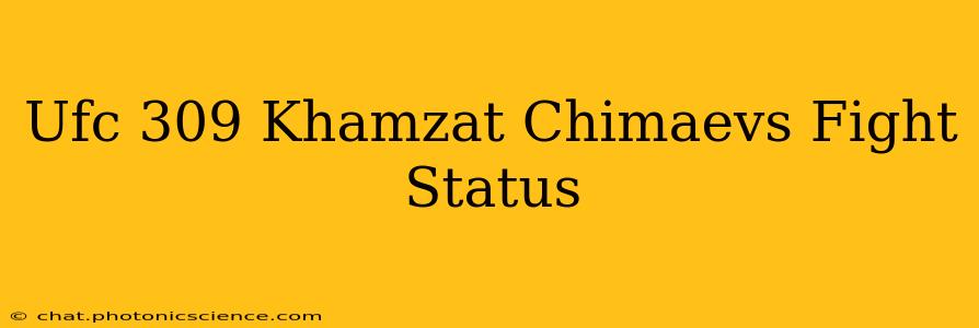 Ufc 309 Khamzat Chimaevs Fight Status