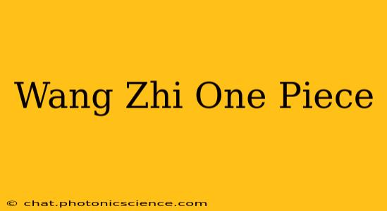 Wang Zhi One Piece
