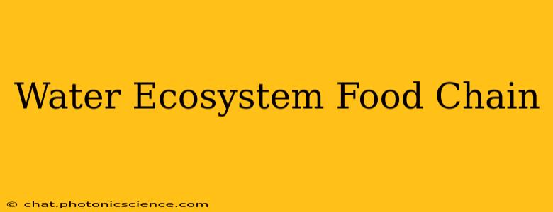 Water Ecosystem Food Chain