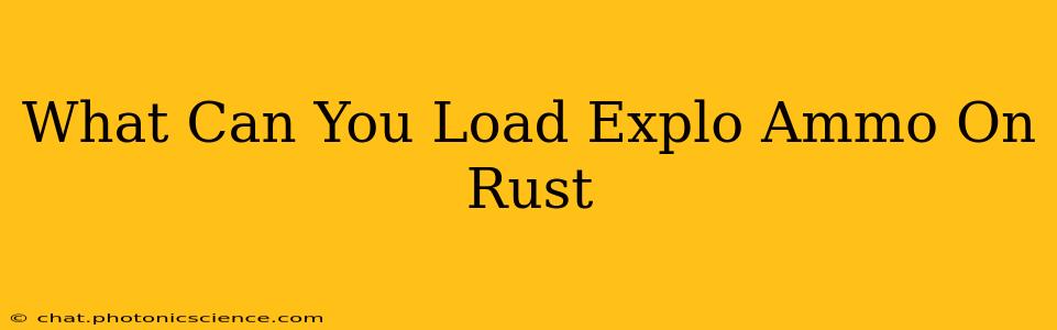 What Can You Load Explo Ammo On Rust