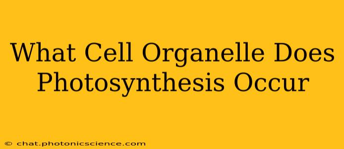What Cell Organelle Does Photosynthesis Occur