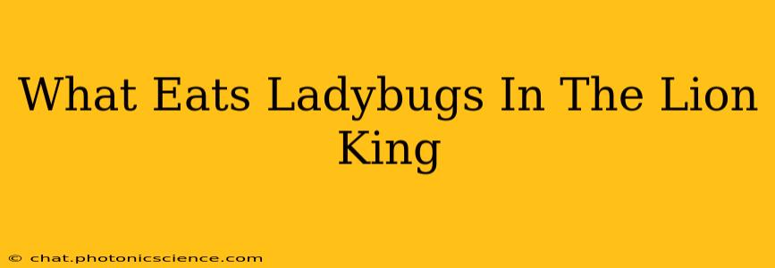 What Eats Ladybugs In The Lion King