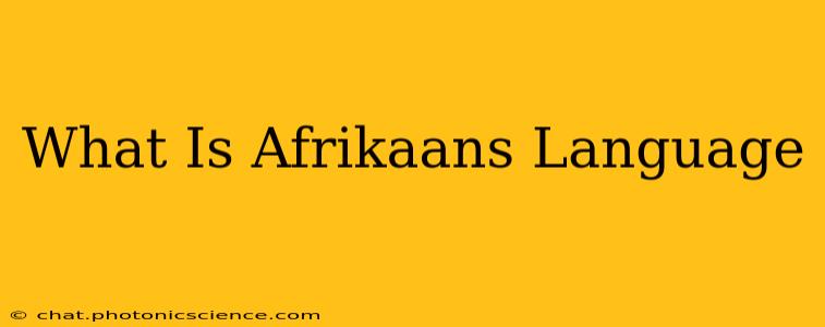 What Is Afrikaans Language