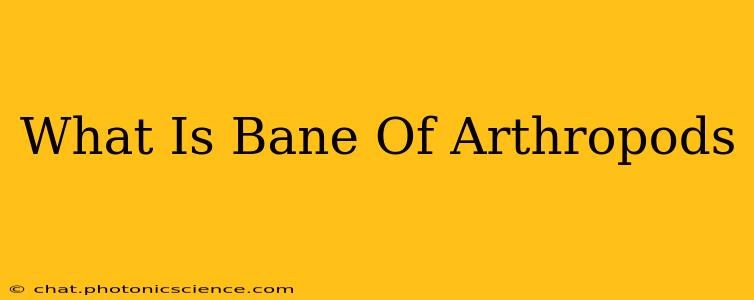 What Is Bane Of Arthropods
