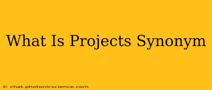 What Is Projects Synonym