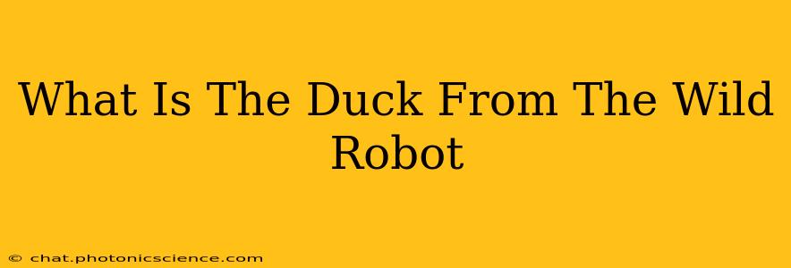 What Is The Duck From The Wild Robot