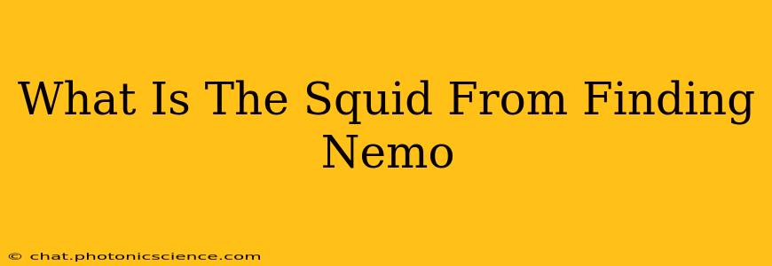 What Is The Squid From Finding Nemo
