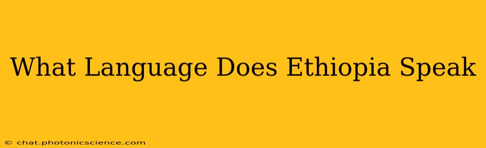 What Language Does Ethiopia Speak