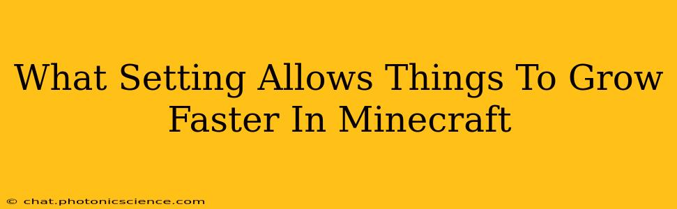 What Setting Allows Things To Grow Faster In Minecraft