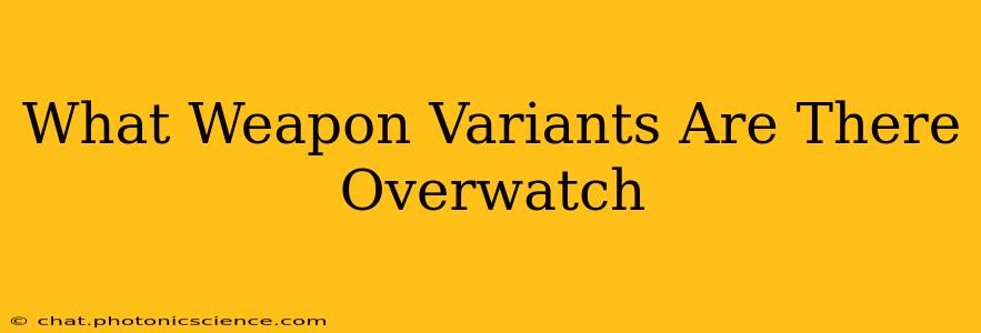 What Weapon Variants Are There Overwatch