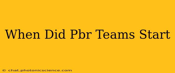 When Did Pbr Teams Start