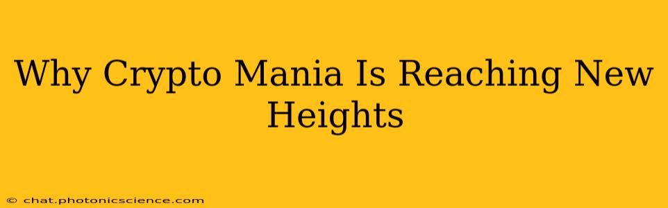 Why Crypto Mania Is Reaching New Heights