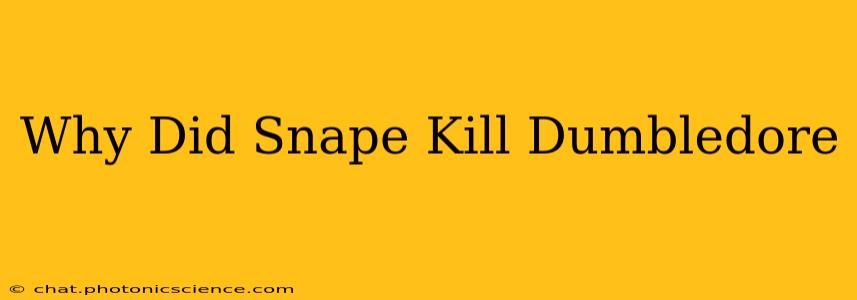 Why Did Snape Kill Dumbledore
