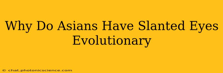 Why Do Asians Have Slanted Eyes Evolutionary