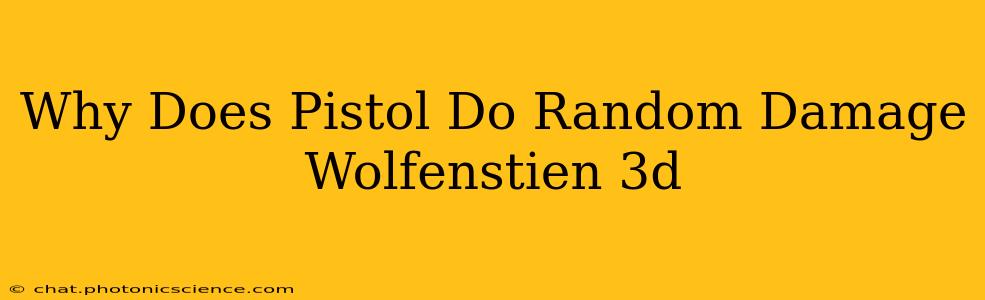 Why Does Pistol Do Random Damage Wolfenstien 3d