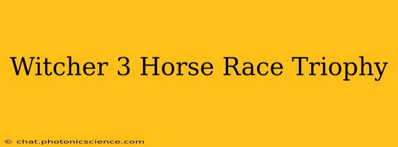 Witcher 3 Horse Race Triophy